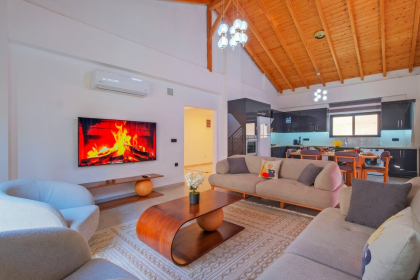 Palmera Villaları Grand (2052)