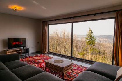 Sapanca Göl Manzaralı Muhafazakar Villa – Forest