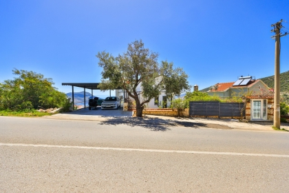 Villa Aurelia (1953)