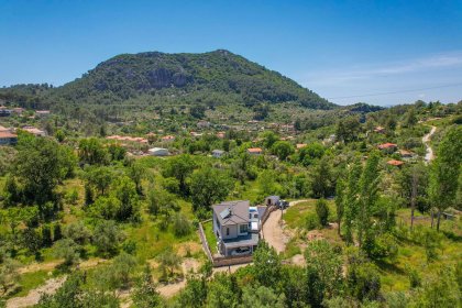 Villa Freesia (2105)