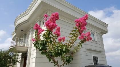 Villa İstanbul (1442)