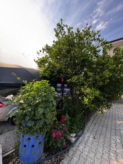 Villa Kosta Lota (1999)