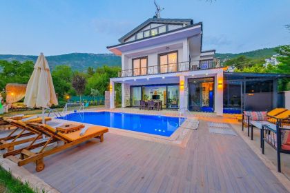 Villa Mis Defne Olive  (1139)