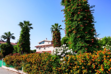 Villa Şen (1546)