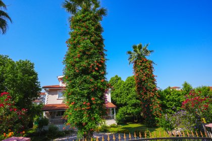 Villa Şen (1546)