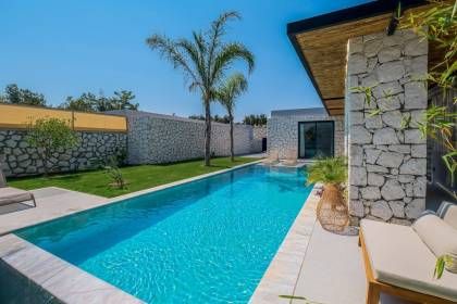 Villa Vio Pilea 3 (1295)