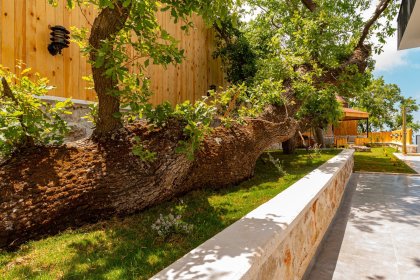 Villa Vision İslamlar (2236)