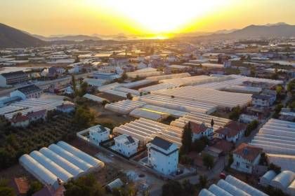 Villa İlk Yaz 2 (1456)